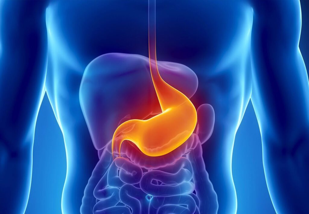 Dolore all&rsquo;Esofago: Cause, Sintomi e Trattamenti