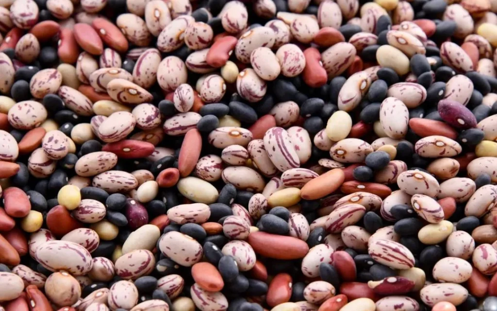 Fagioli e Salute dei Polmoni: Benefici Nutrizionali e Impatto sulla Funzione Polmonare