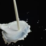 Grassi del Latte: Composizione, Benefici e Implicazioni sulla Salute