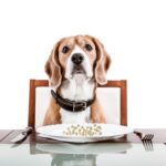 Legumi per i cani: Benefici, rischi e consigli