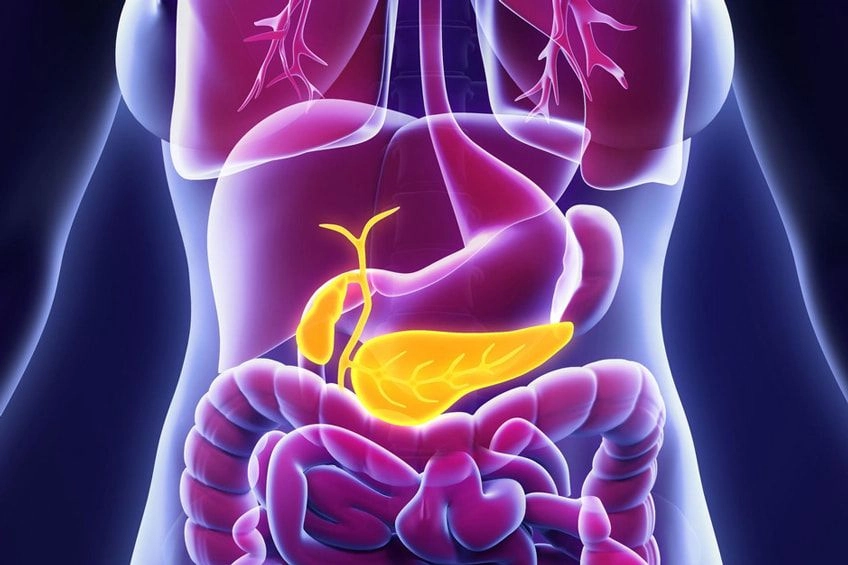 Alimentazione per Problemi al Pancreas: Cibi da Preferire e da Evitare