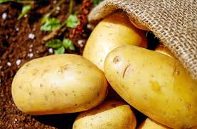 Patate: Benefici per la Salute, Proprietà Nutrizionali e Utilizzi