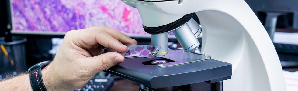 Patologia Clinica: Una Guida Completa