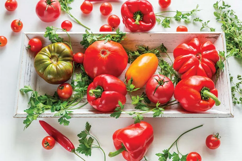 Alimenti che Fanno Bene alla Prostata: Prevenzione e Benessere