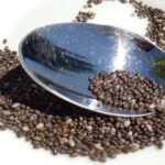 Come Mangiare i Semi di Chia: Modi, Benefici e Consigli Utili