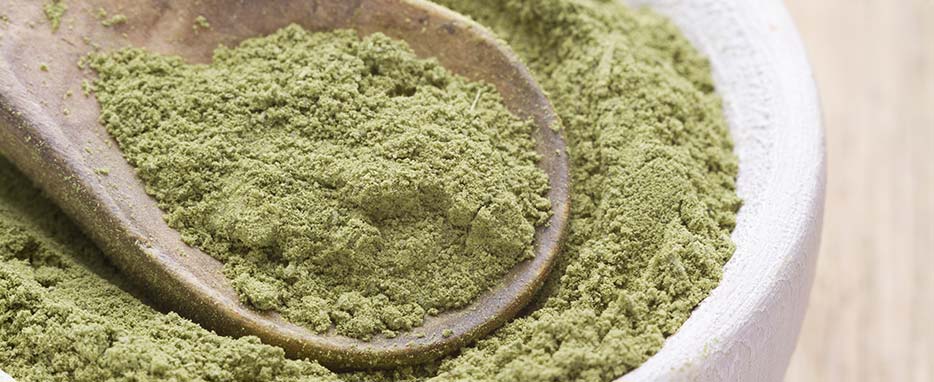 Superfood in Polvere: Benefici, Tipi e Come Usarli