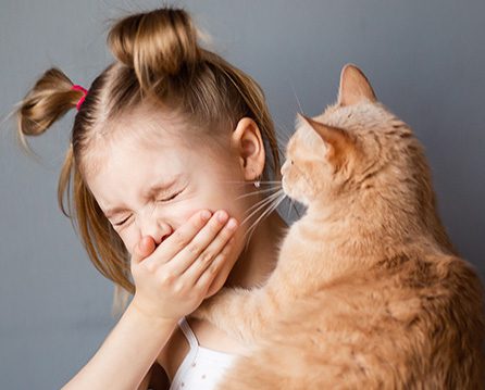 Allergie al Gatto: Sintomi e Come Riconoscerle