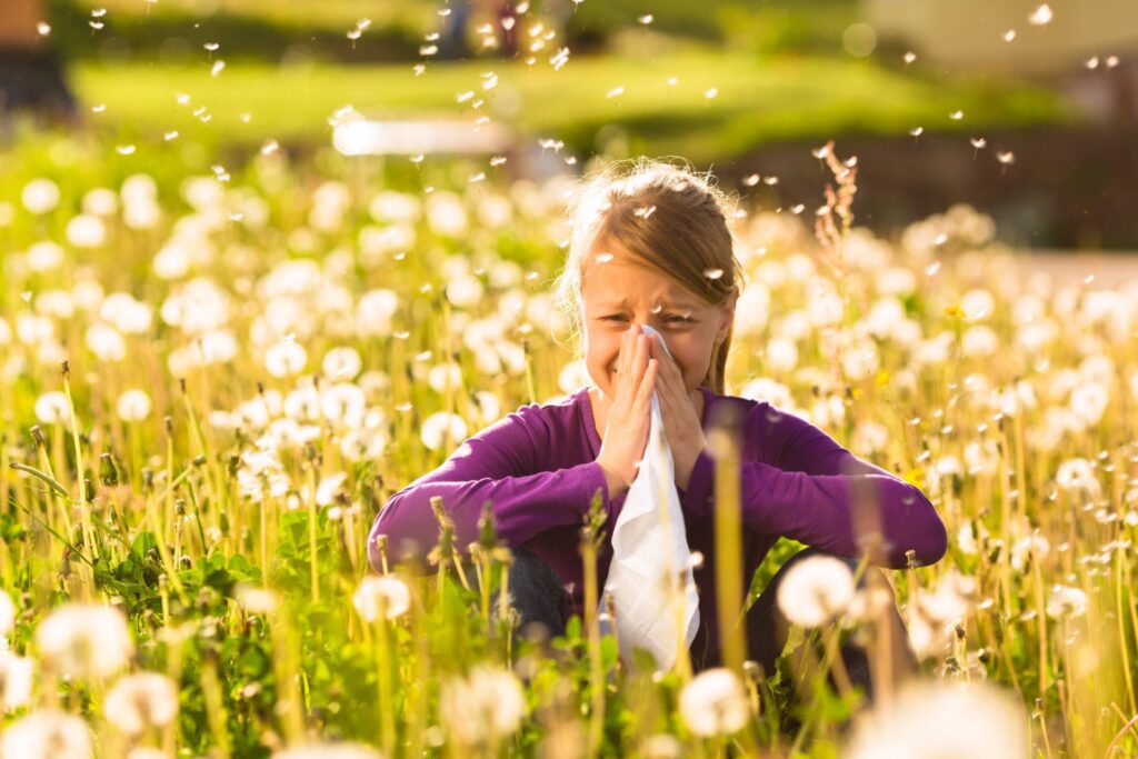 Rimedi Naturali per l'Allergia al Polline