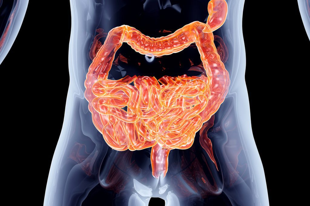 Antibiotico per la Gastroenterite