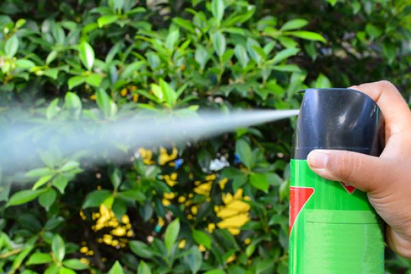Avvelenamento da Insetticida: Sintomi e Come Agire