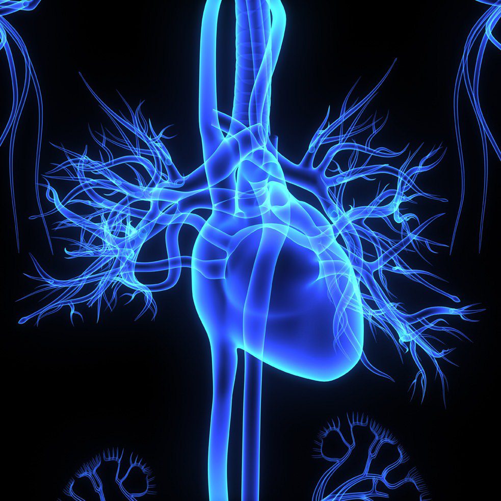 Cardiopatia Ipertensiva: Sintomi, Diagnosi e Gestione