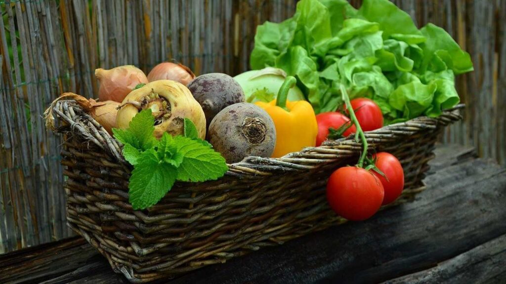Alimenti Benefici per le Piastrine