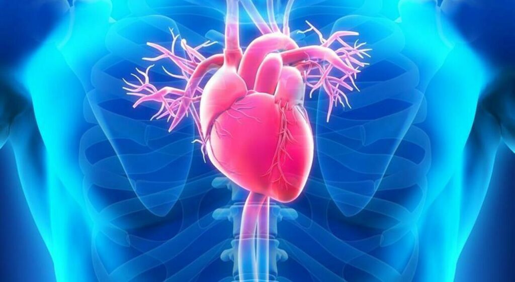 Ipertensione: Cibi da Evitare per la Salute del Cuore