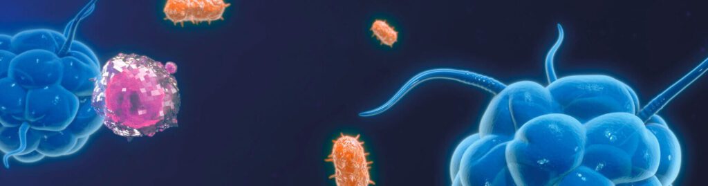 Ruolo e Funzioni del Calcio nel Corpo