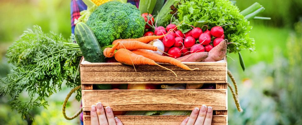 La Nutrizione di Stagione: Benefici e Alimenti Consigliati