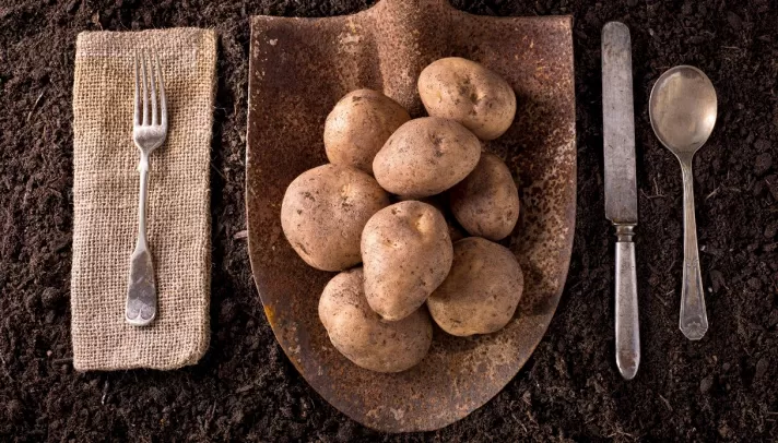 Patate e Gonfiore: Effetti e Come Consumarle