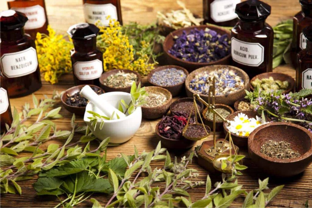 Piante Medicinali: Benefici e Usi Principali