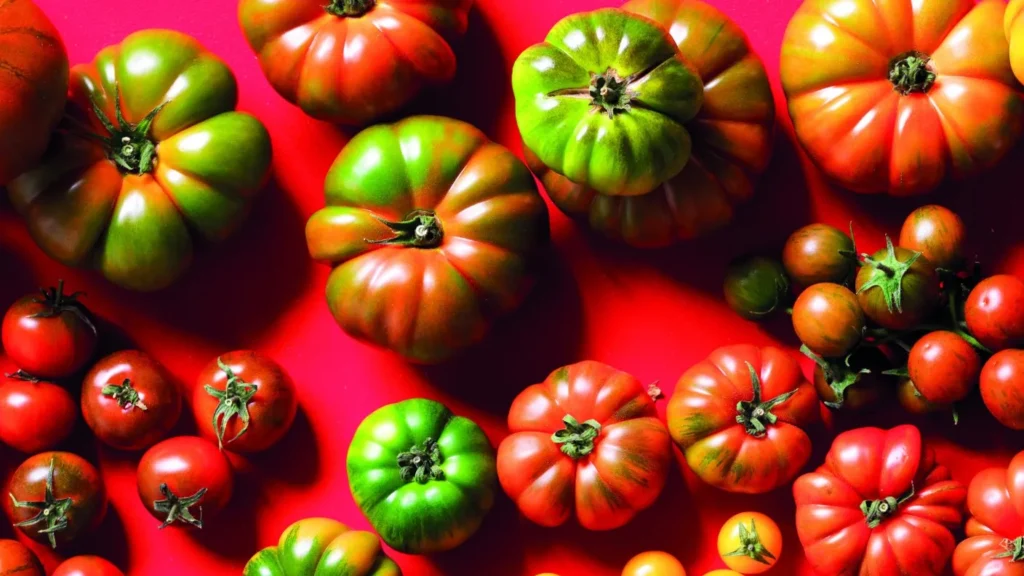 Pomodoro e Diabete: Benefici e Consigli per il Consumo