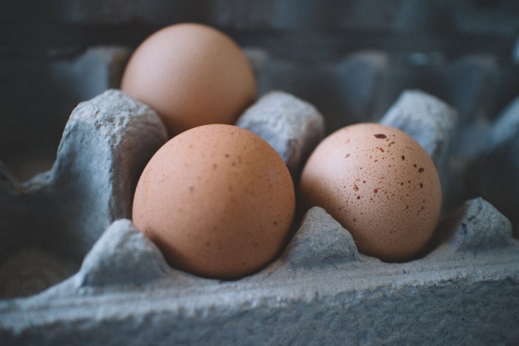 Alimentazione proteica: un pilastro per la salute e il benessere