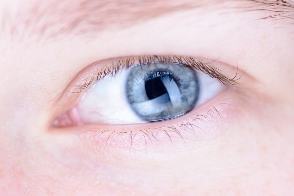 Alimenti che fanno bene alla retina: nutrire la vista in modo naturale