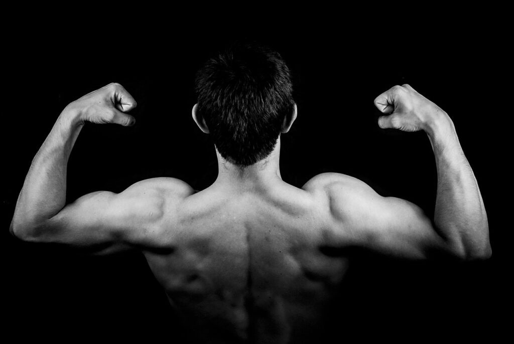 Allenamento tricipiti: come sviluppare braccia forti e toniche