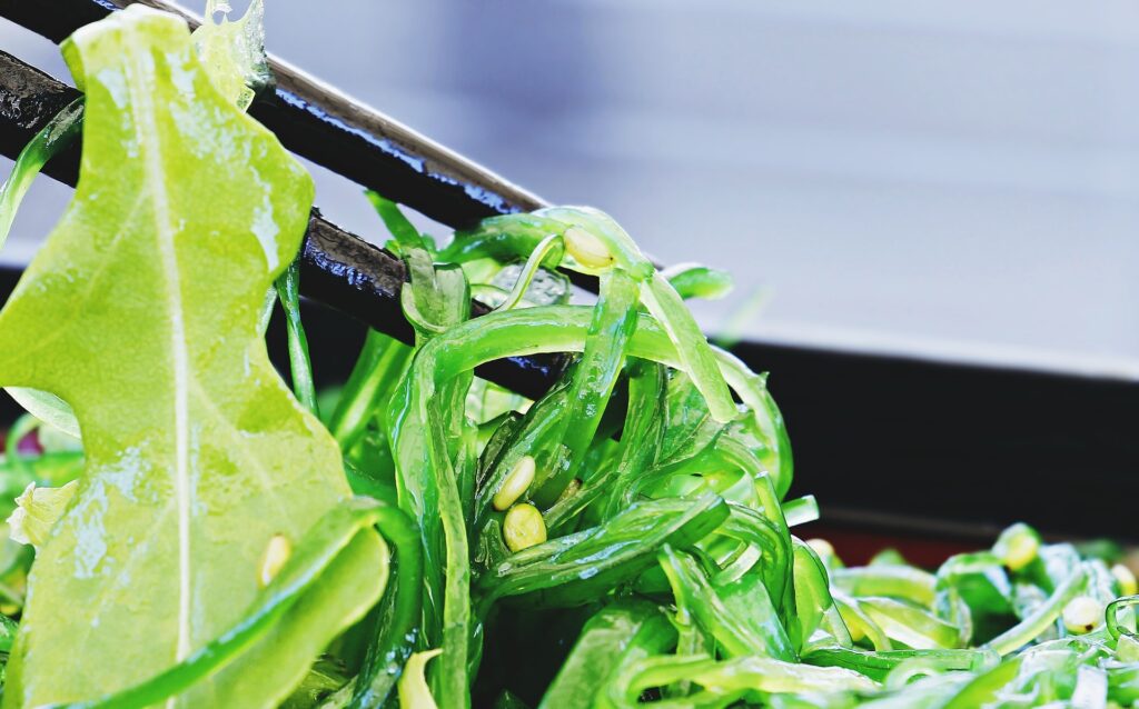 Come mangiare il wakame: idee e benefici