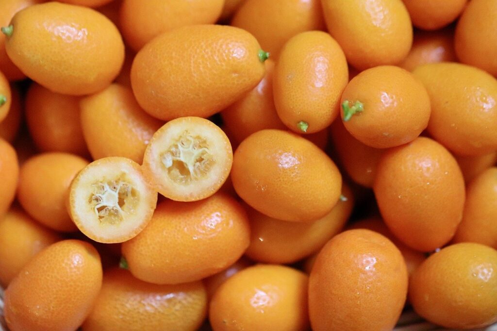 Come mangiare kumquat: consigli, ricette e idee per gustarli