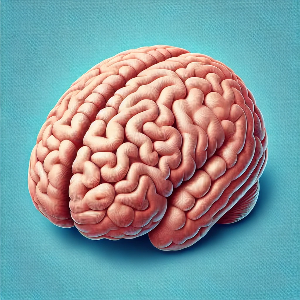 Ischemia al cervello: cause, sintomi e prevenzione