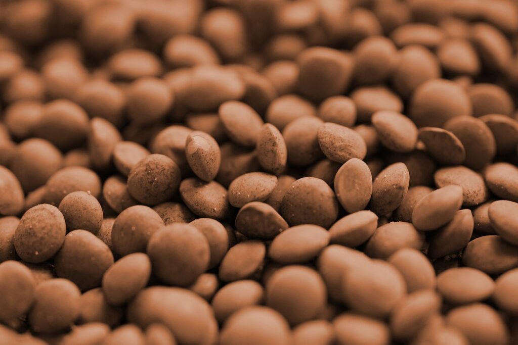 Legumi migliori: variet&agrave;, benefici e come scegliere quelli giusti