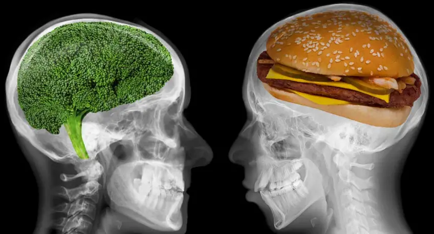 Alimenti nocivi