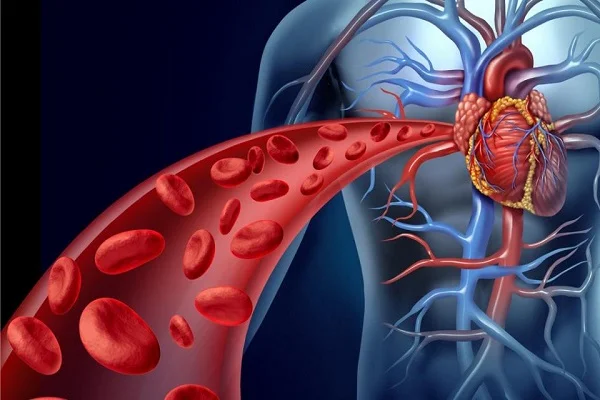 Cosa si rischia con la cardiopatia?