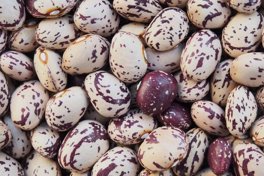 Cosa mangiare insieme ai fagioli a dieta?
