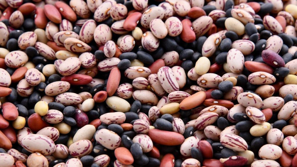 Quanti fagioli si possono mangiare nella dieta?