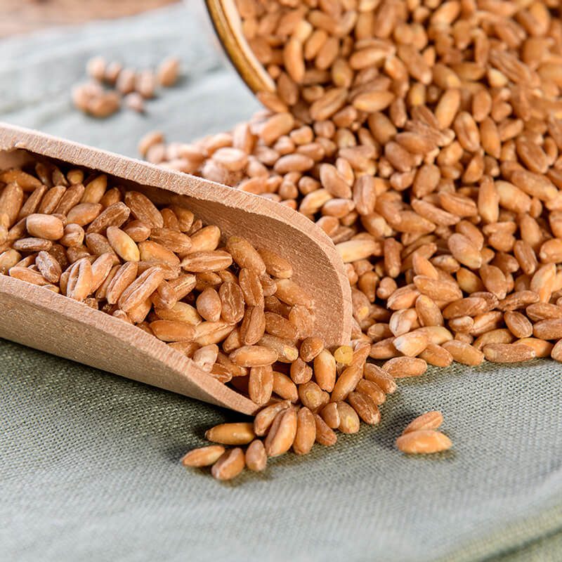 A cosa fa bene mangiare farro?