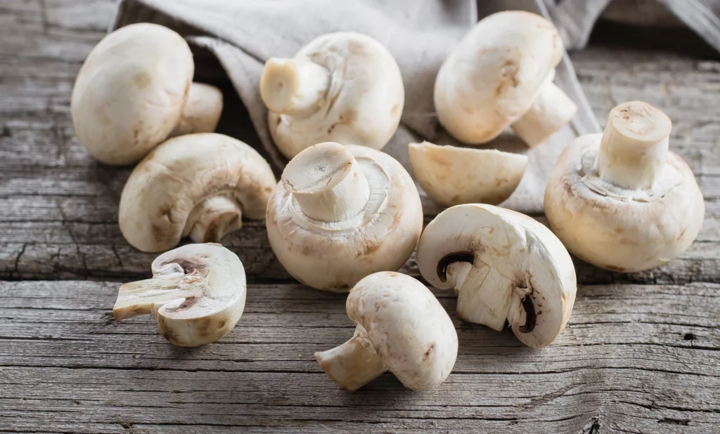 A Cosa Fanno Bene i Funghi?