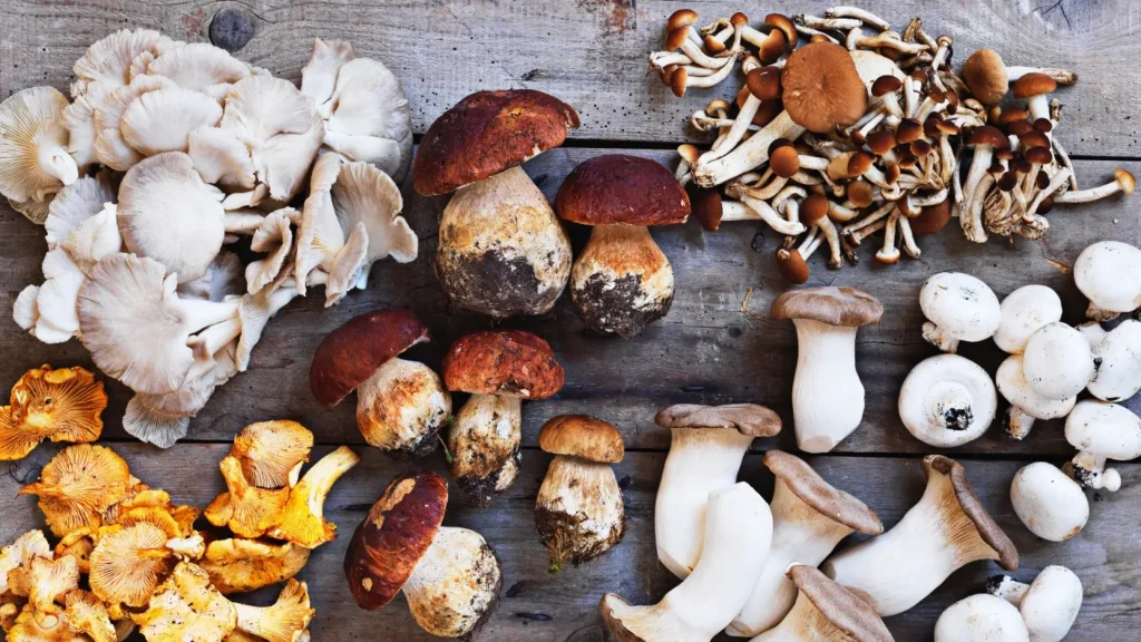 Chi ha il colesterolo alto può mangiare i funghi?