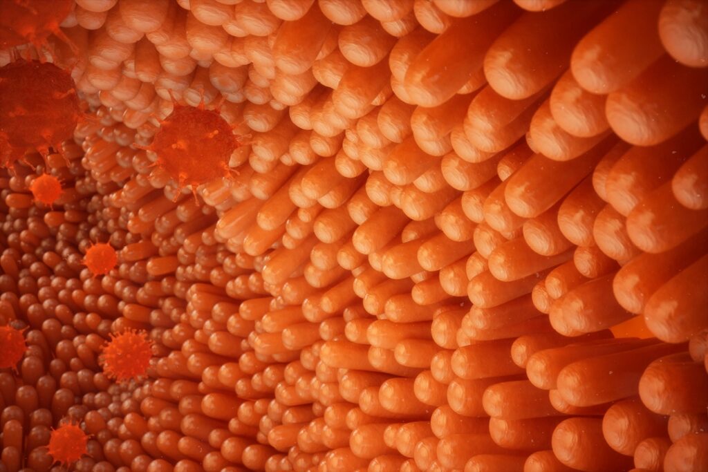 Come avere un intestino pulito?