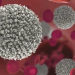 Quali sono i primi sintomi di una leucemia?