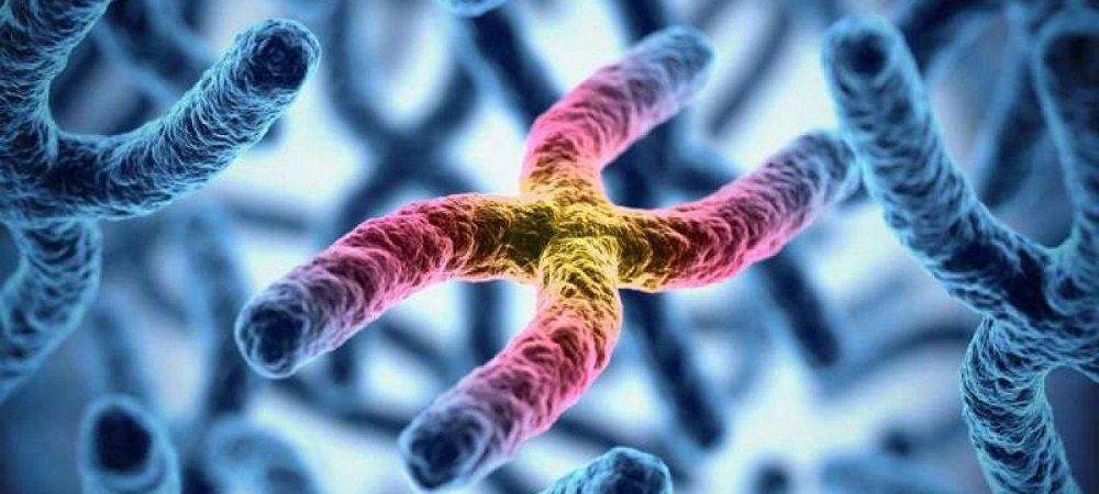 Qual è la malattia più diffusa?