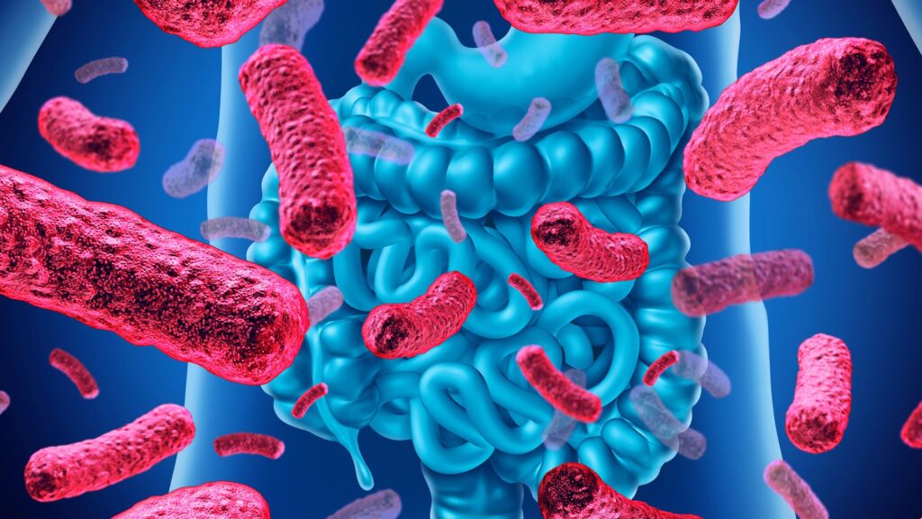 Come si cura il microbiota intestinale?