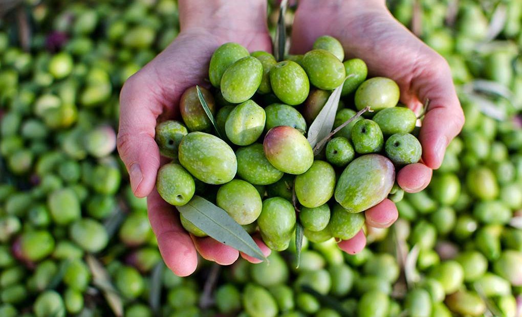 Chi ha il diabete pu&ograve; mangiare le olive?