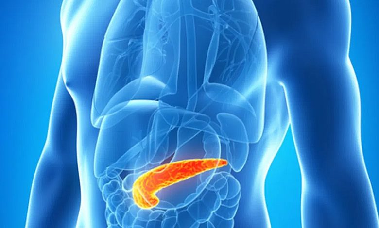 Quale funzione svolge il pancreas?