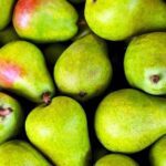 Quali pere per andare in bagno?