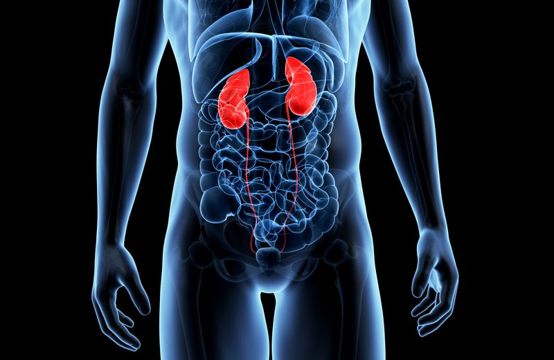 Quali sono i sintomi dei reni ammalati?