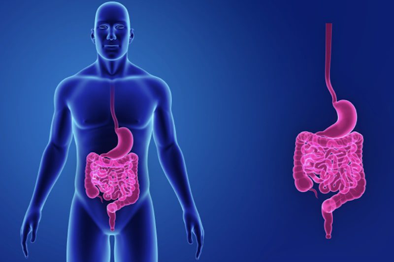 Come sfiammare velocemente l'intestino?