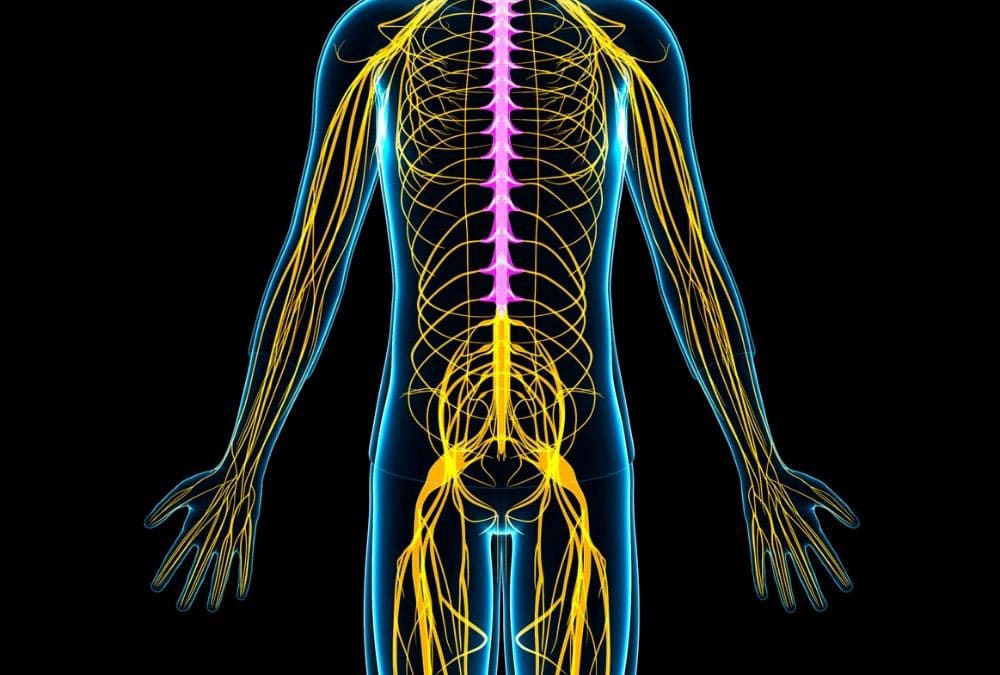 Come capire se ho danni al sistema nervoso?