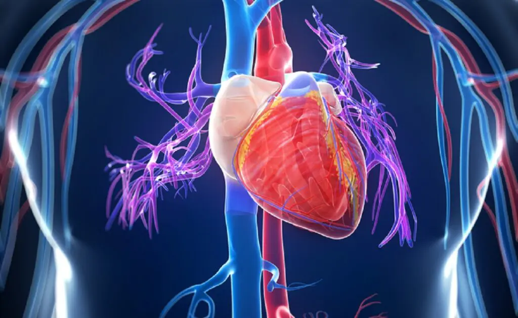 Chi &egrave; Predisposto al Parkinson?