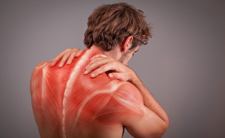 Perché i muscoli vanno in tensione?