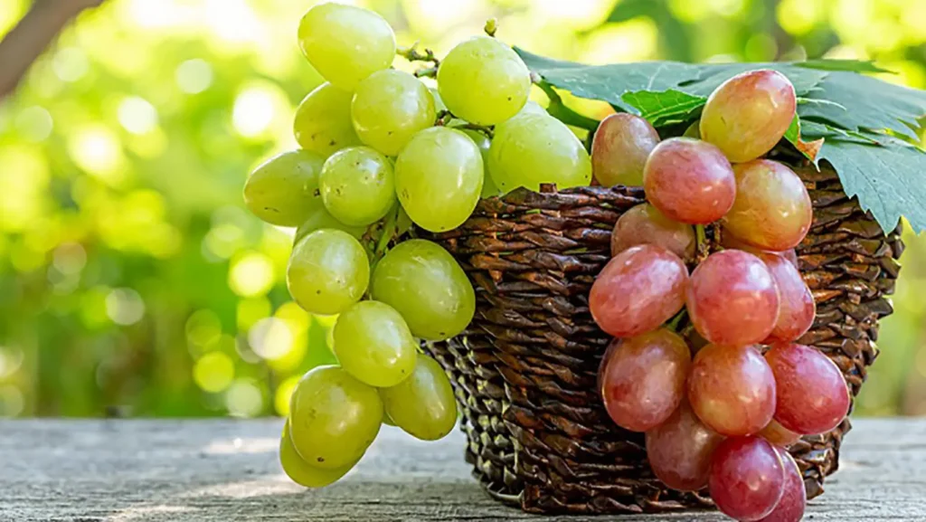 Chi ha la pressione alta può mangiare l'uva?