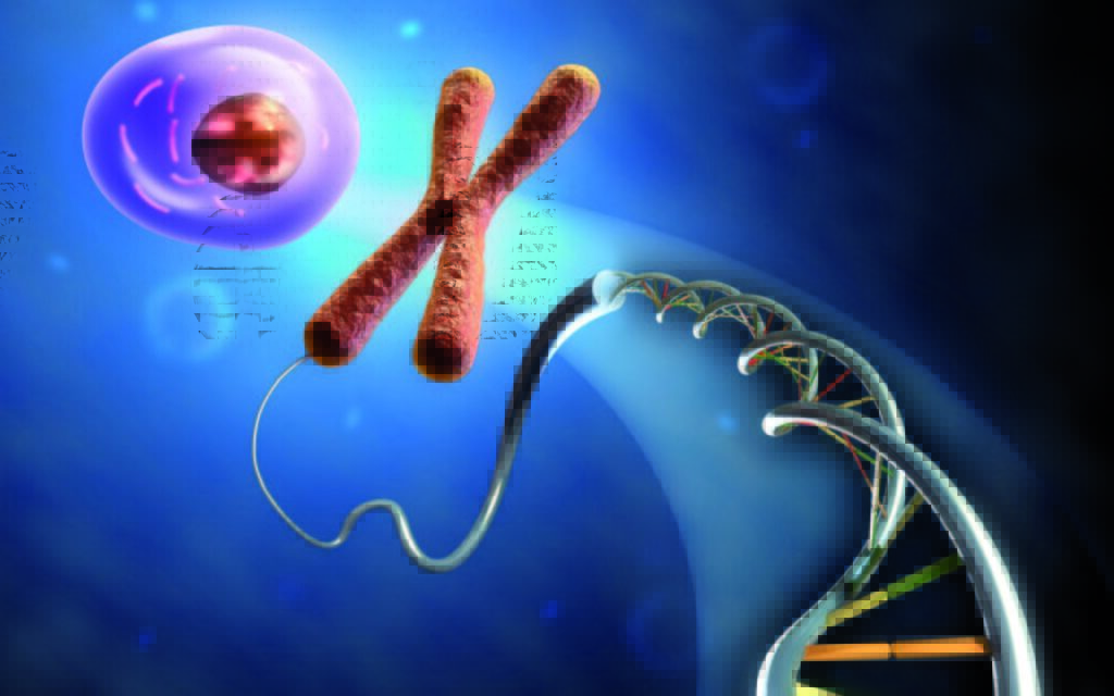 Biotecnologia e batteri